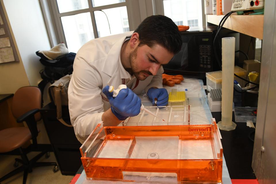 Lab technician Griffin Azrak pipetting PCR samples into a gel electrophoresis machine.